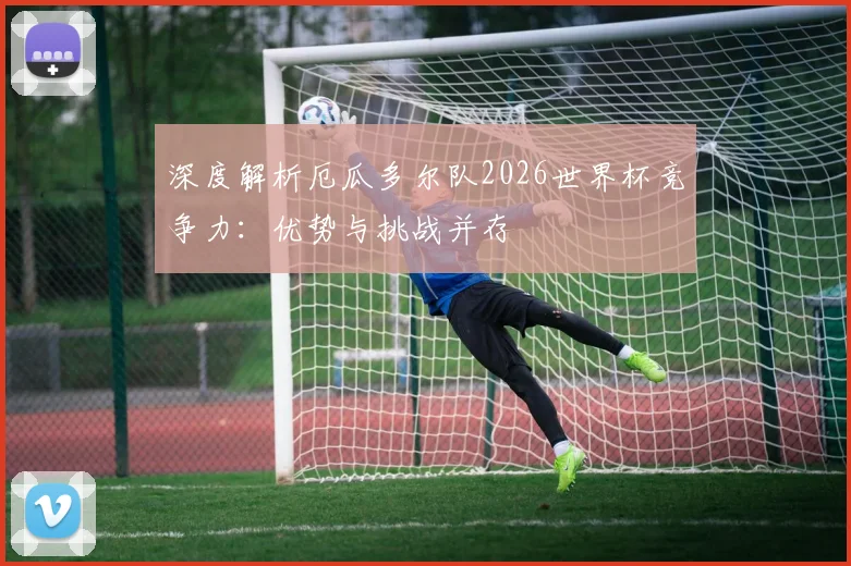 深度解析厄瓜多尔队2026世界杯竞争力：优势与挑战并存