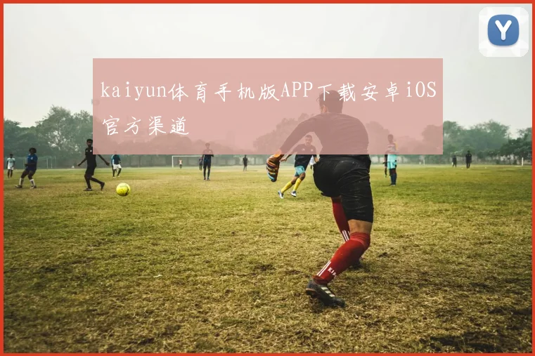 kaiyun体育手机版APP下载安卓iOS官方渠道