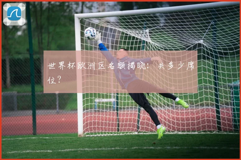 世界杯欧洲区名额揭晓：共多少席位？