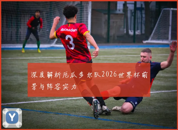 深度解析厄瓜多尔队2026世界杯前景与阵容实力