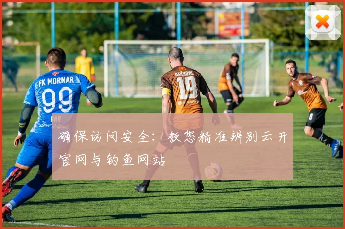 确保访问安全：教您精准辨别云开官网与钓鱼网站